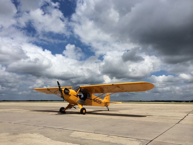 Piper NE Cub (N459SR) - VFR and a Cub.. What more could you ask for??