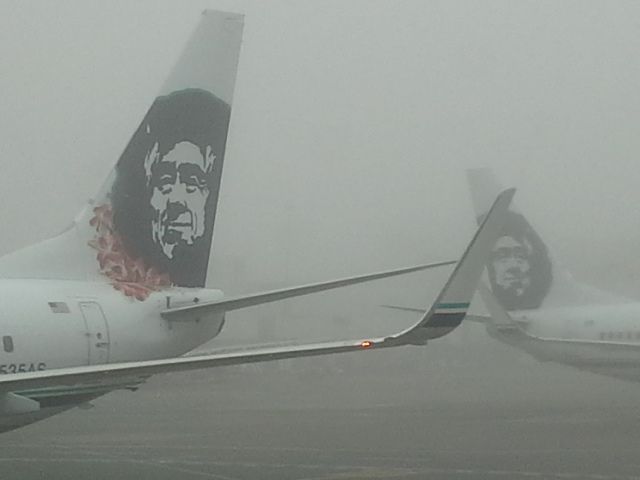 Boeing 737-700 (N535AS) - Shot taken at the SeaTac Airport in Seattle on October 24, 2013 on a very foggy day.