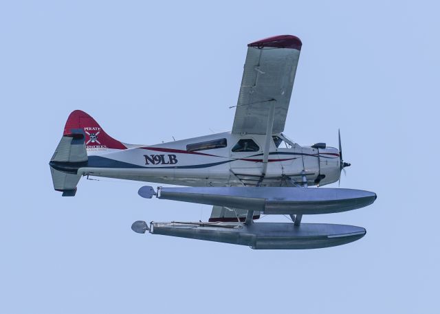 De Havilland Canada DHC-2 Mk1 Beaver (N9LB)