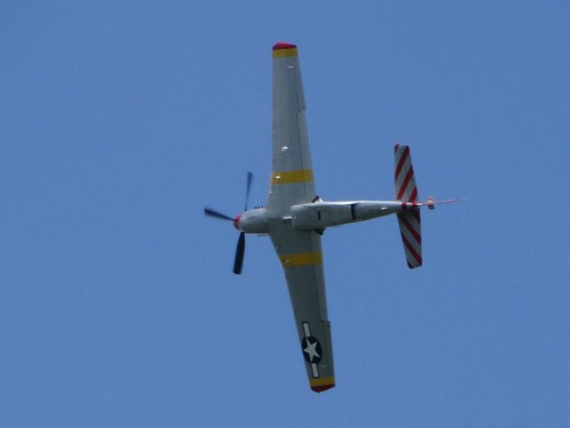 North American P-51 Mustang (N51MX)