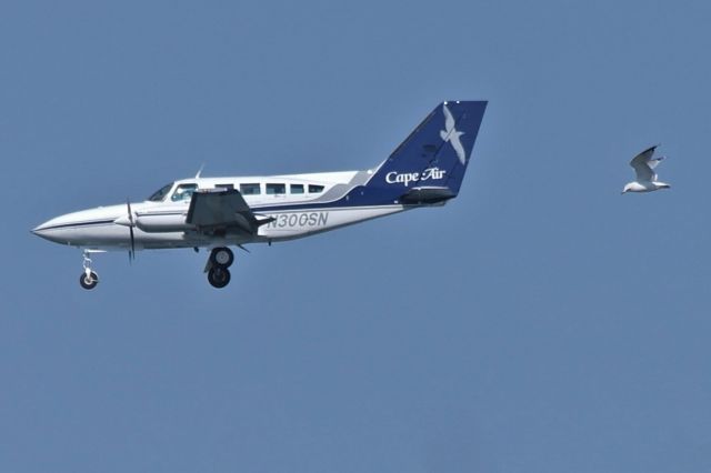 Cessna 402 (N300SN)