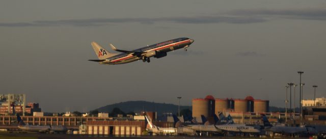 Boeing 737-800 —