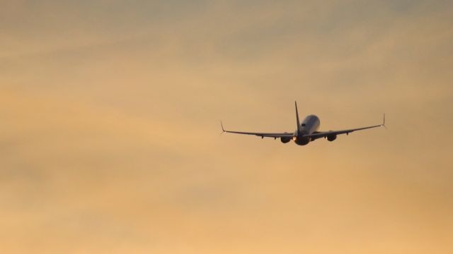 Boeing 737-800 (N8551Q)
