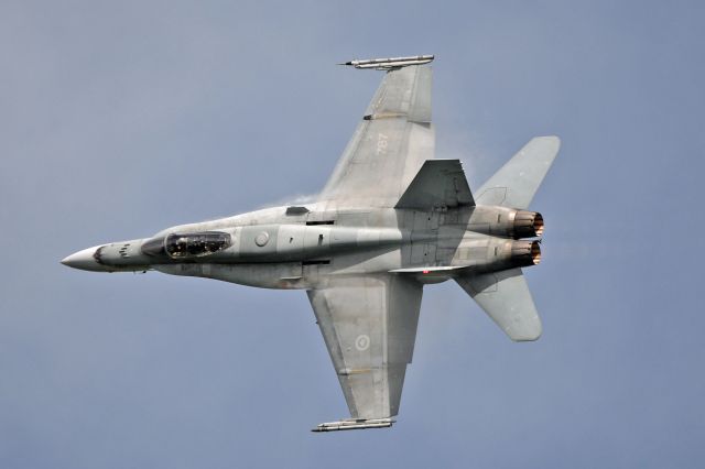 McDonnell Douglas FA-18 Hornet (18-8787)