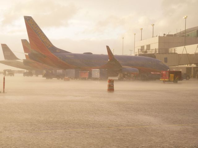 — — - Feb 15 2014 rain