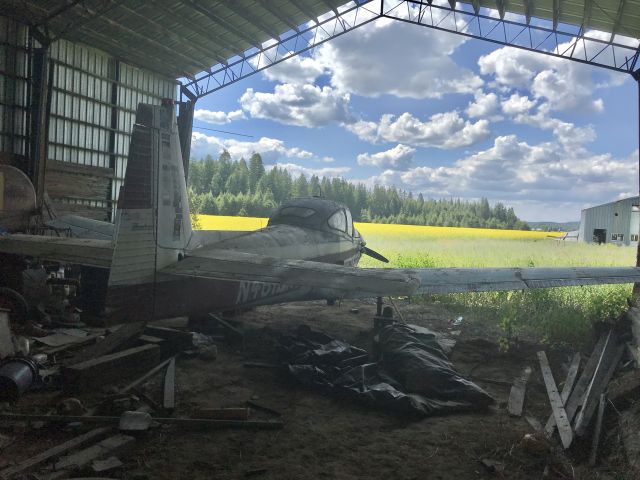 North American Navion (N4616K) - Abandoned inside a collapsing hangar at Cross Winds Airport (C72), which has been turned into a flower field. It will spend the rest of its days there. I visit it every summer.