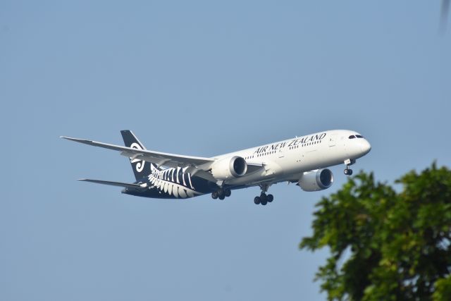 Boeing 787-8 (ZK-NZN) - Arrival, Air New Zealand, RWY 20R, Changi, Singapore. 8 Sep 2019.