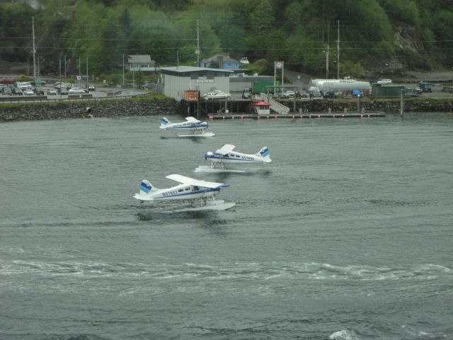 De Havilland Canada DHC-2 Mk1 Beaver (N67667) - A colony of beavers dancing around waiting for dock space at Ketchikan, AK.