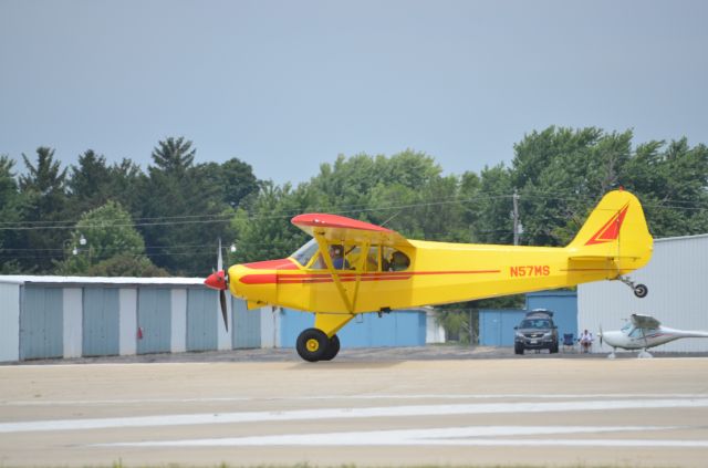 Piper L-21 Super Cub (N57MS) - AirVenture 2014