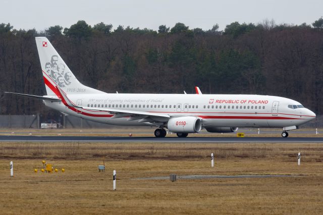 Boeing 737-800 (0110)