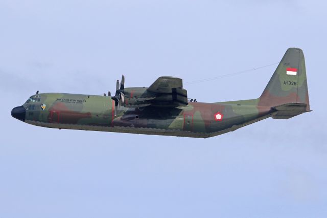 Lockheed C-130 Hercules (A1328) - SkU32