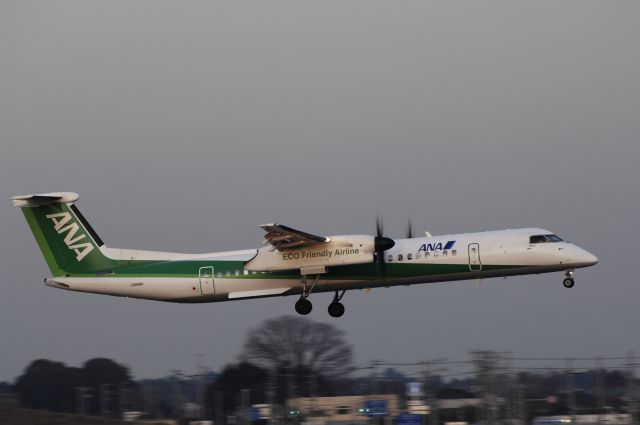 JA856A — - Landing at NRT Airport Runway 16L on 2011/12/29 Green Eco c/s