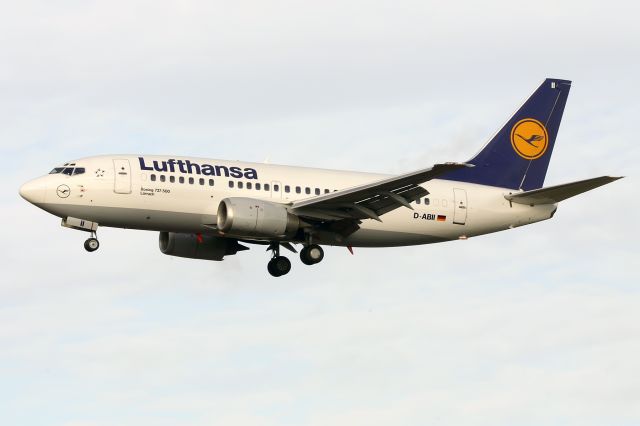 Boeing 737-500 (D-ABII)