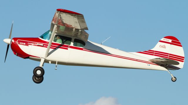 Cessna 170 (N2386D)