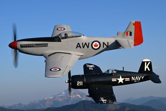 North American P-51 Mustang (N551D)