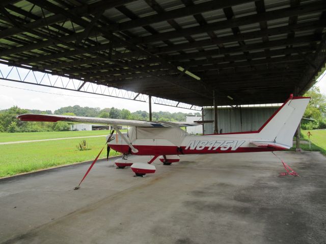 Cessna Commuter (N8175V)