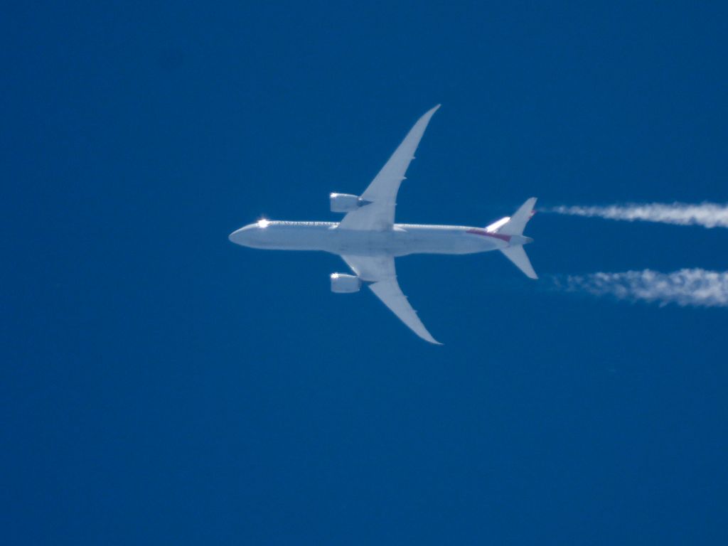 Boeing 787-9 Dreamliner (N839AA) - AAL239br /06/09/21