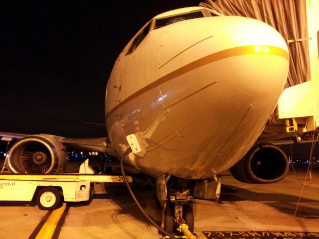 Boeing 737-500 (N16617) - View from the push-back tug