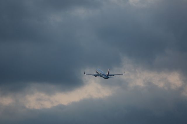 Boeing 737-800 (JA65AN)