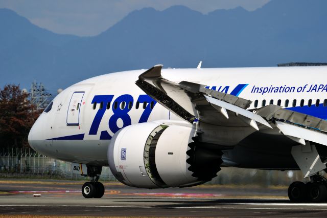 Boeing 787-8 (A810A)