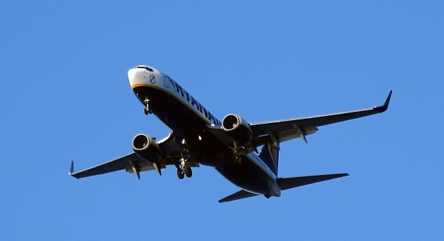 Boeing 737-800 (EI-EFH)