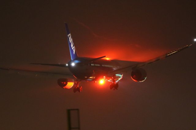 Boeing 787-8 (JA825A) - 06 March 2016:HND-HKD.