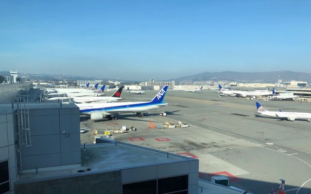 — — - View from the Polaris Lounge at SFO, ANA 777-300ER, Air Canada 787-8 in the new livery, and some mixed United 777 and 787s.