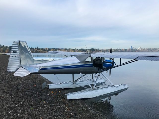 TEMCO Silvaire (N71311) - Seward Park, Seattle, WA