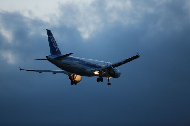 Airbus A320 (JA8395) - 6 April 2015: HND-HKD. ANA 557.