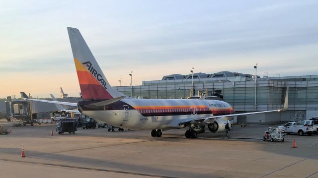 — — - Early morning light refelecting on the AAa AirCal livery B738