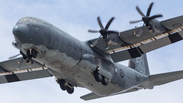 — — - RAAF, Hercules, approaches Townsville Air Base as part of Defence Force Air Show held in Townsville.