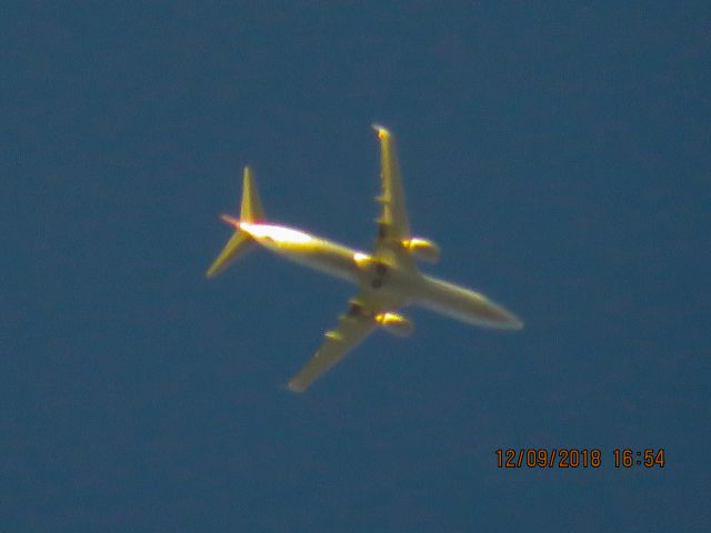 Boeing 737-800 (N896NN)