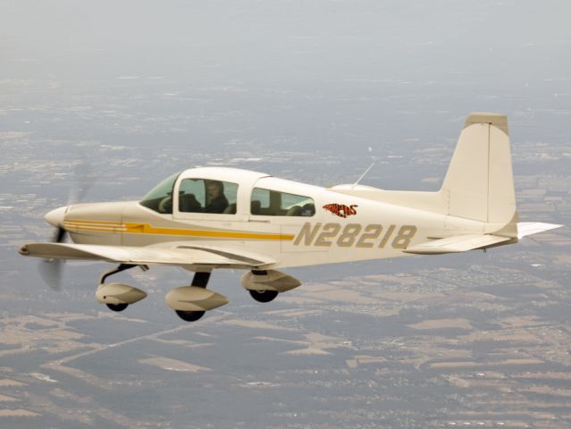 N28218 — - The finest Grumman Tiger in the Northeast.