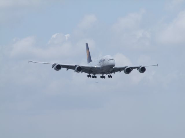 Airbus A380-800 (D-AIMD) - miami