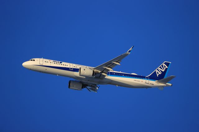 Airbus A321neo (JA139A) - January 1st 2022:HKD-HND.