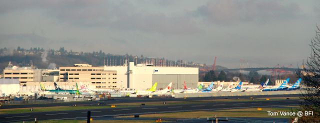 Boeing 737-800 (JA03GR) - Boeing Field, Seattle USA - March 11th, 2014 line up on the ramp. Spring Japan Airlines is parked near the ramp. The 2 larger blue tail jets are the 1st 787-9 for testing.Use the large or full button below for a bit better detail. This was taken at 55mph from the freeway.