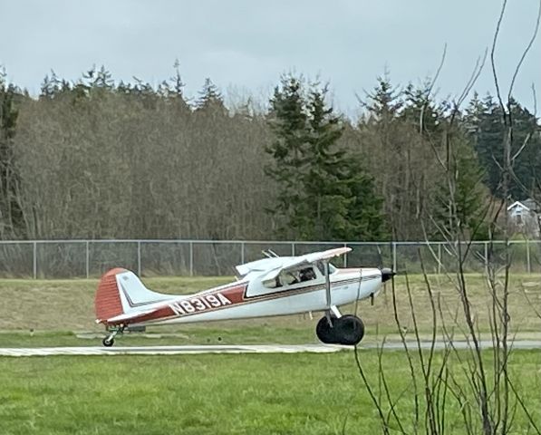 Cessna 170 (N8319A)