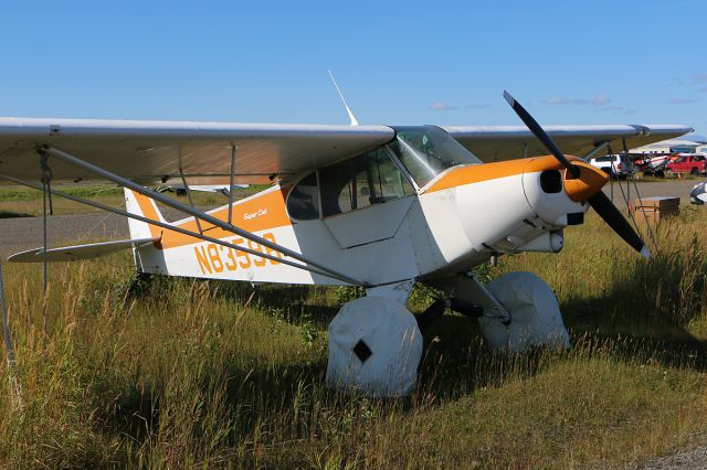 CHAMPION Tri-Traveler (N53898)