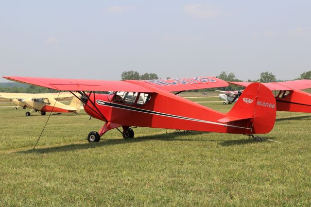 HINDUSTAN Pushpak (N31789) - Aeronca 65-TL