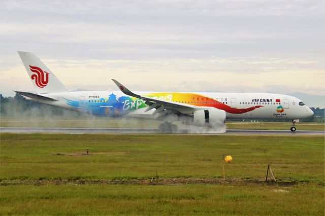 Airbus A350-900 (B-1083) - Air Chinas EXPO 2019 livery on the wet runway, ZUUU.br /TIPS:Select full-size and wait for a while for better view.