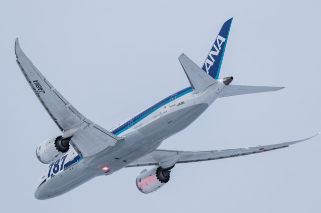 Boeing 787-8 (JA811A) - All Nippon Airways / Boeing787-881br /Dec.06.2015 Hakodate Airport [HKD/RJCH] JAPAN