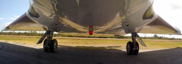 Diamond DA-20 (C-FSJI) - The underbody panorama shows the dramatic wing sweep of the Falcon 20. 