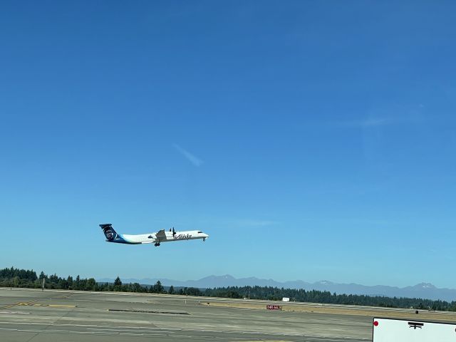 N435QX — - Just dropped off one of my fueler’s at Delta terminal Bravo..when I saw Horizon flt 2100 departing runway 34R..(-: