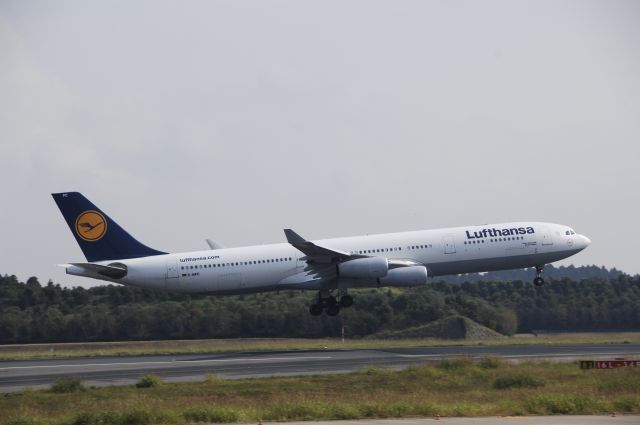 Airbus A340-300 (D-AIFC) - Landing at NRT Airport Runway 16L on 2011/10/10