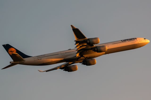 Airbus A340-600 (D-AIHP) - dark yellow evening sun