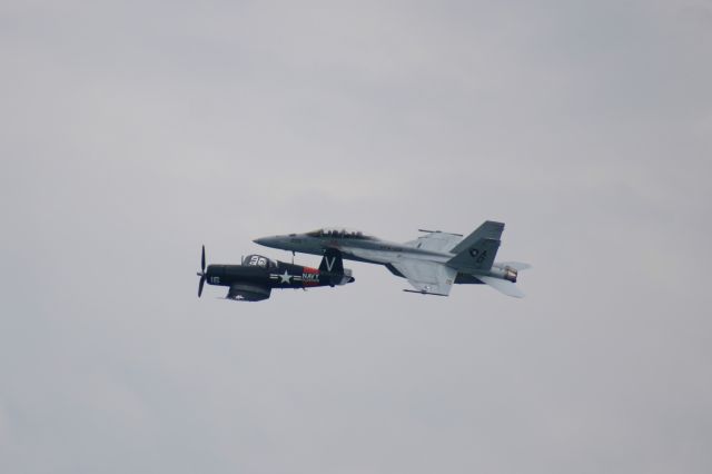 McDonnell Douglas FA-18 Hornet —