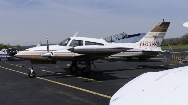 Cessna 310 (N81WA)