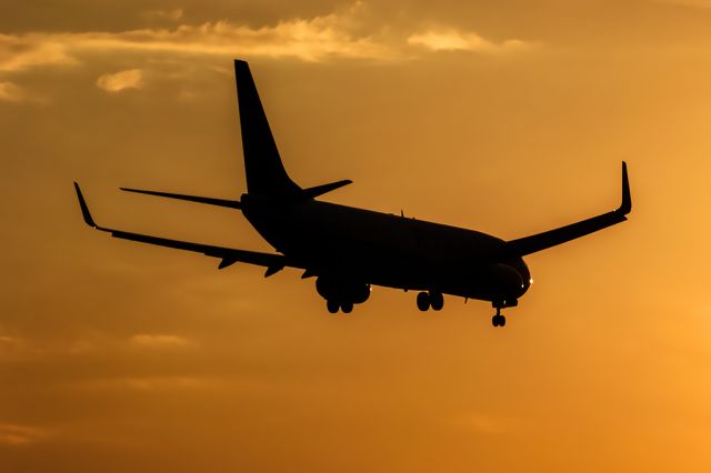 Boeing 737-800 (EI-EVL)