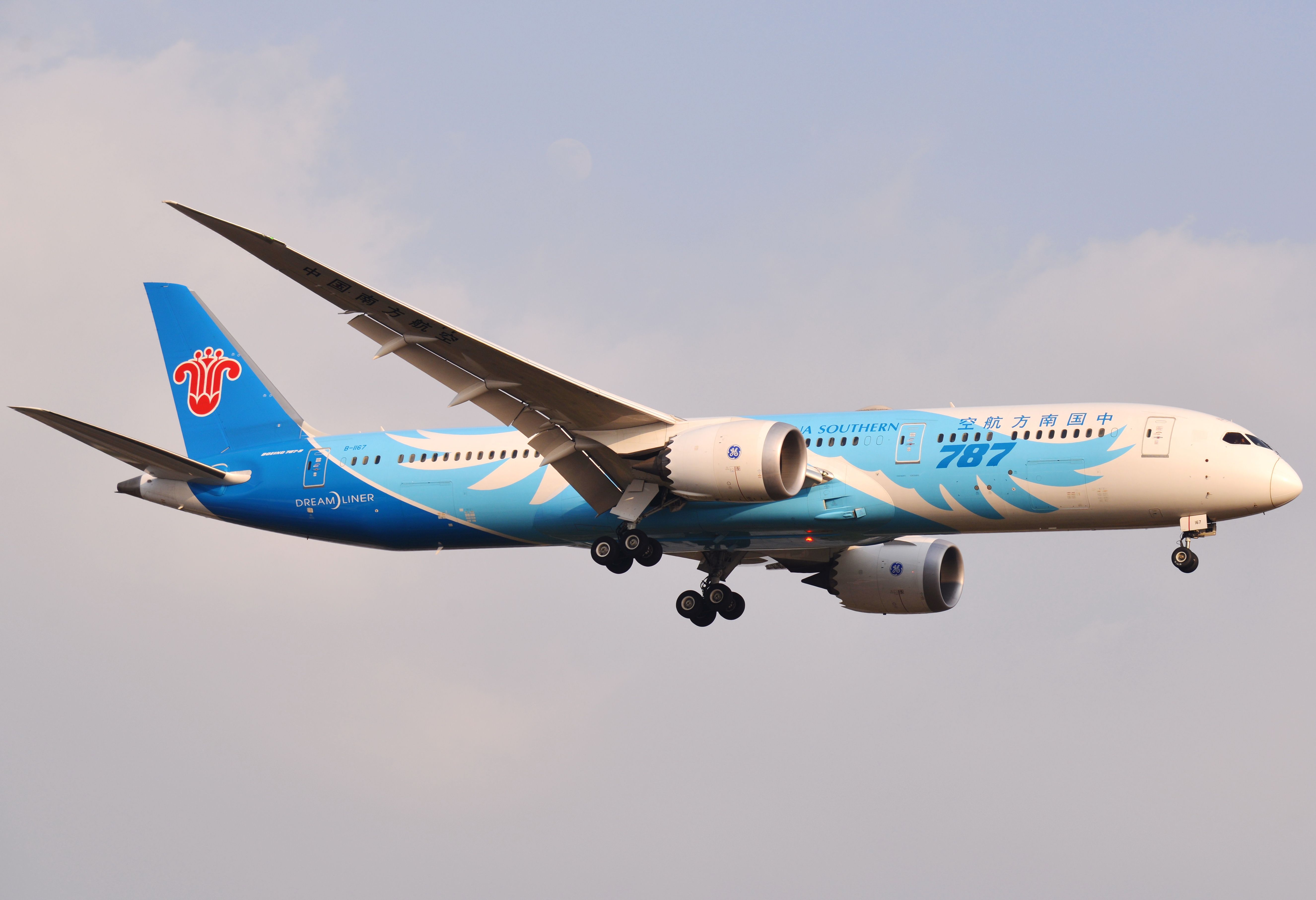 Boeing 787-8 (B-1167)