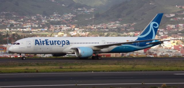 Boeing 787-8 (EC-NVX) - Pintado Norse 
